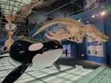名古屋港水族館に投稿された画像（2026/7/13）