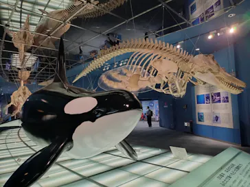 名古屋港水族館に投稿された画像（2026/7/13）