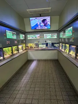 名古屋市東山動植物園に投稿された画像（2026/7/13）