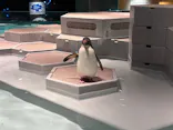 AOAO SAPPOROに投稿された画像（2026/7/14）