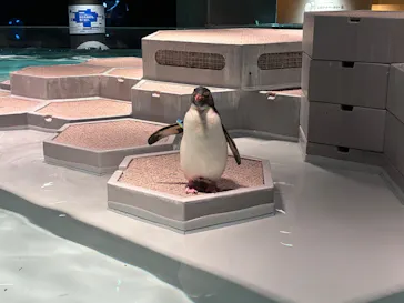 AOAO SAPPOROに投稿された画像（2026/7/13）