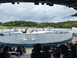 京都水族館に投稿された画像（2026/7/14）