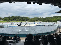 京都水族館に投稿された画像（2026/7/13）