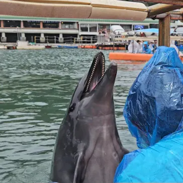 下田海中水族館に投稿された画像（2026/7/13）