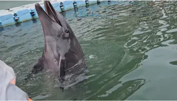 下田海中水族館に投稿された画像（2026/7/13）