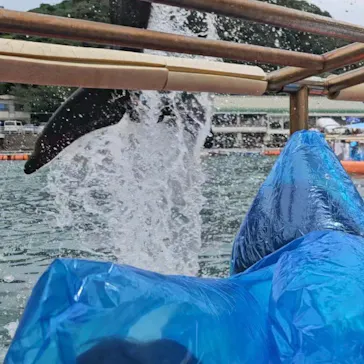 下田海中水族館に投稿された画像（2026/7/13）