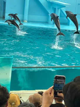 横浜・八景島シーパラダイスに投稿された画像（2026/7/14）