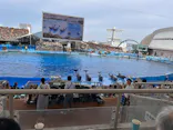 名古屋港水族館に投稿された画像（2026/7/14）
