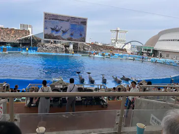 名古屋港水族館に投稿された画像（2026/7/14）