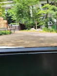 上野動物園 ハシビロカートに投稿された画像（2026/7/14）