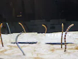 京都水族館に投稿された画像（2026/7/14）