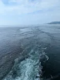 徳島県立 渦の道に投稿された画像（2026/7/14）