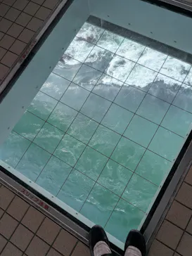 徳島県立 渦の道に投稿された画像（2026/7/14）