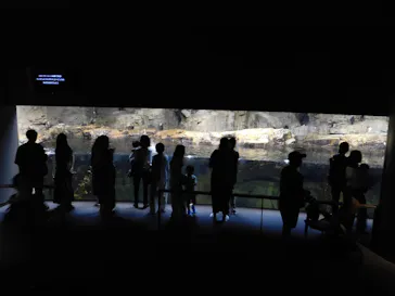 葛西臨海水族園に投稿された画像（2026/7/14）