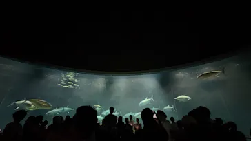 葛西臨海水族園に投稿された画像（2026/7/14）
