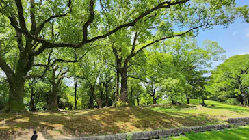 万博記念公園に投稿された画像（2026/7/14）