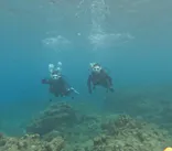 エバーブルー屋久島に投稿された画像（2026/7/14）