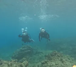 エバーブルー屋久島に投稿された画像（2026/7/14）