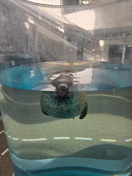 京都水族館に投稿された画像（2026/7/14）
