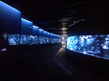 京都水族館に投稿された画像（2026/7/14）