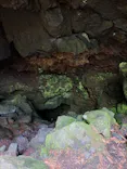 トリップフジ　Trip Fujiに投稿された画像（2026/7/14）