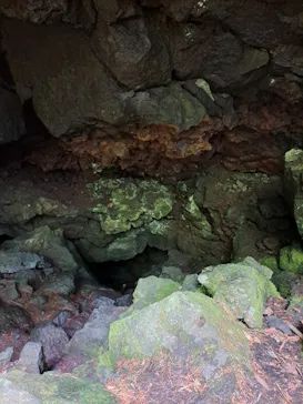 トリップフジ　Trip Fujiに投稿された画像（2026/7/14）