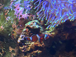 越前松島水族館に投稿された画像（2026/7/14）