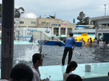 越前松島水族館に投稿された画像（2026/7/14）