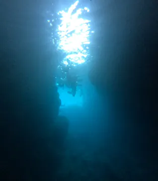 武藤潜水に投稿された画像（2026/7/15）