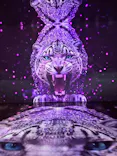 MIRACLE WORLDに投稿された画像（2026/7/15）