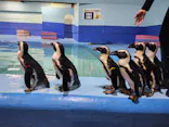 ゼロ距離水族館 伊勢シーパラダイスに投稿された画像（2026/7/15）