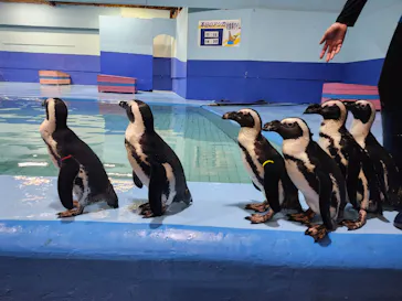 ゼロ距離水族館 伊勢シーパラダイスに投稿された画像（2026/7/15）