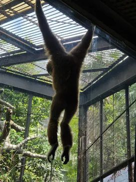 恩賜上野動物園に投稿された画像（2026/7/15）