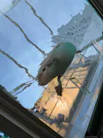 サンシャイン水族館に投稿された画像（2026/7/15）