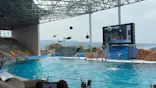 アドベンチャーワールドに投稿された画像（2026/7/15）