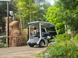 上野動物園 ハシビロカートに投稿された画像（2026/7/15）
