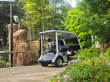 上野動物園 ハシビロカートに投稿された画像（2026/7/15）