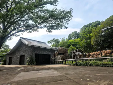 上野動物園 ハシビロカートに投稿された画像（2026/7/15）