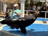 サンシャイン水族館に投稿された画像（2026/7/15）
