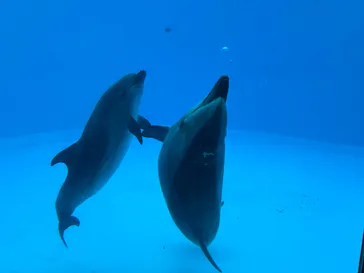 名古屋港水族館に投稿された画像（2026/7/15）