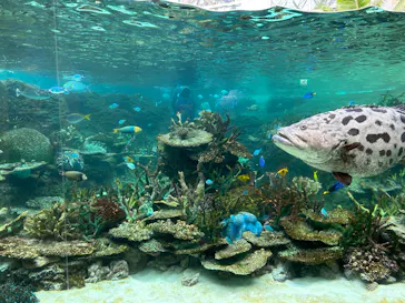 名古屋港水族館に投稿された画像（2026/7/15）