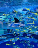 AQUARIUM × ART　atoaに投稿された画像（2026/7/15）