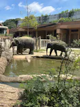 名古屋市東山動植物園に投稿された画像（2026/7/15）