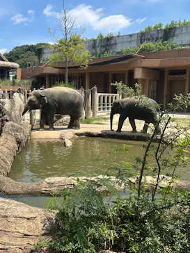 名古屋市東山動植物園に投稿された画像（2026/7/15）