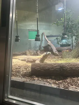 名古屋市東山動植物園に投稿された画像（2026/7/15）