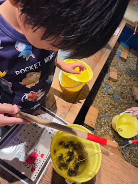 釣って見つけるぼうけんの国　豊橋店に投稿された画像（2026/7/15）