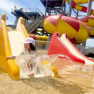蓮沼ウォーターガーデンに投稿された画像（2026/7/15）