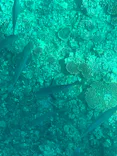 まりんはうすぐるくんに投稿された画像（2026/7/16）