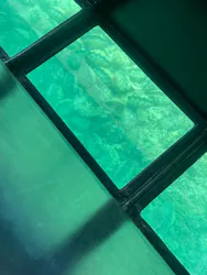まりんはうすぐるくんに投稿された画像（2026/7/15）