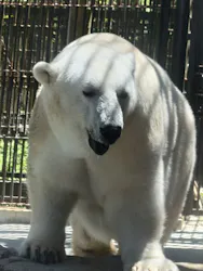 愛媛県立とべ動物園に投稿された画像（2026/7/15）